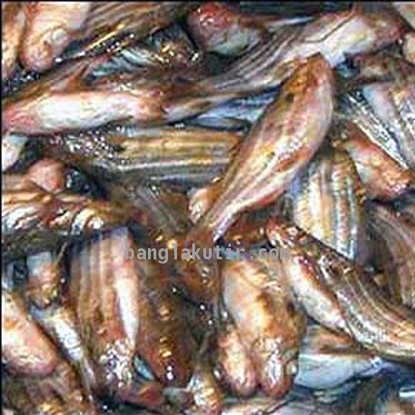 Tengra Fish 1 Kg